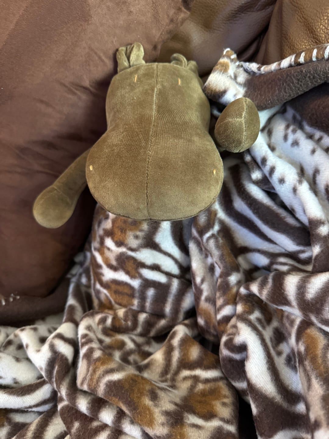 Customer photo review of MOMO THE HIPPO - L
