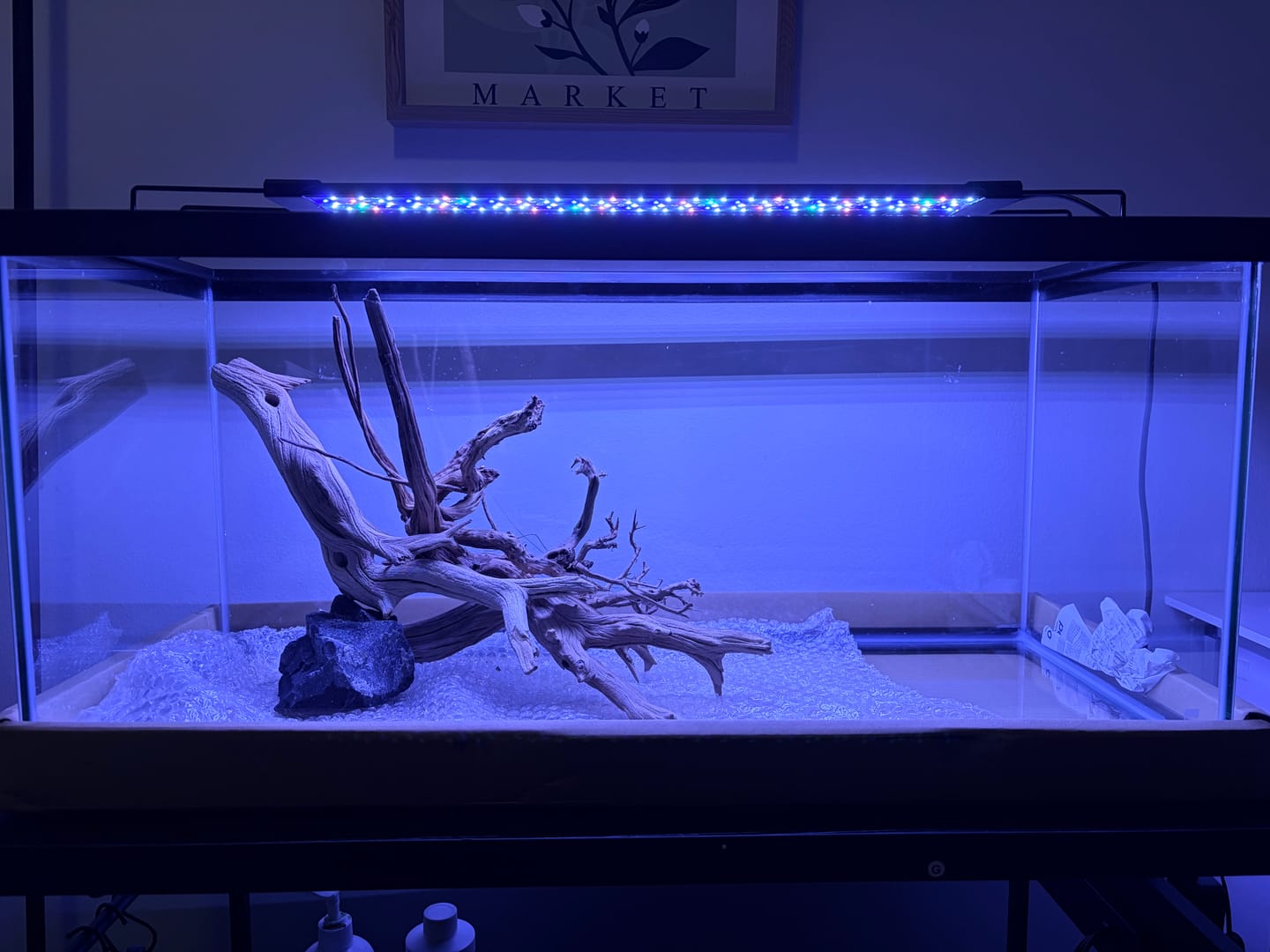 Customer photo review of WIO - Black Venom Boulder