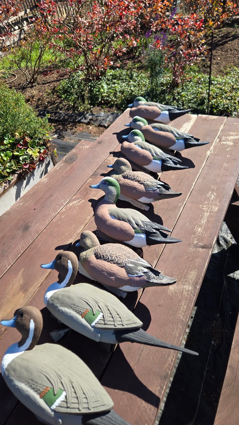 Customer photo review of Decoy Paint Kit - Large