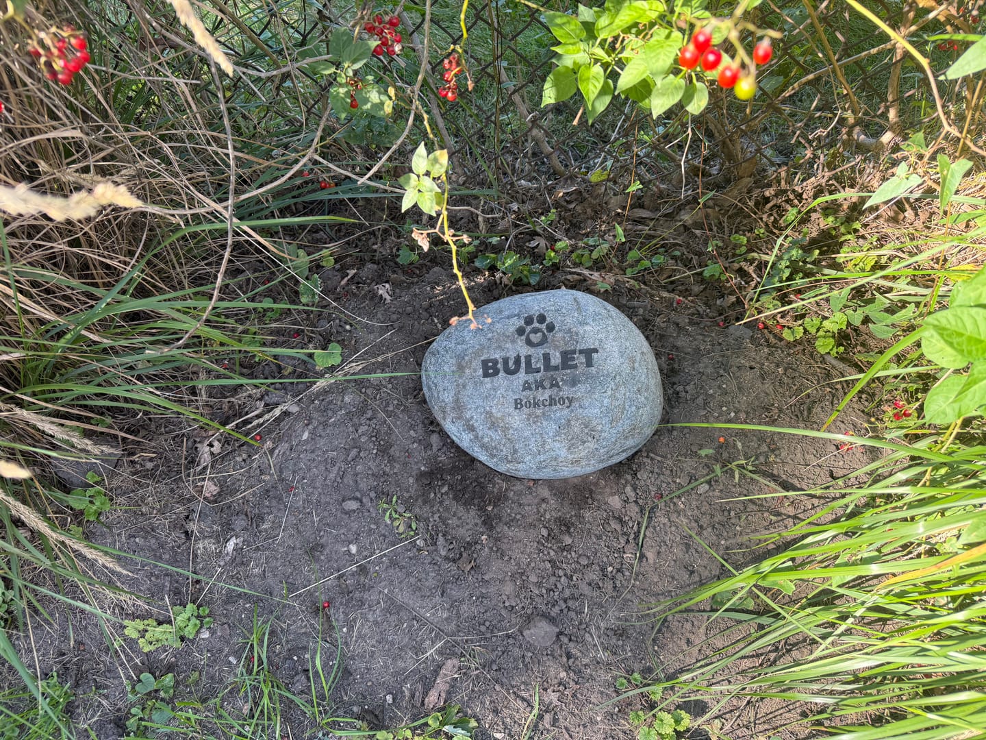 Customer photo review of Dog headstones Grave Marker Custom Engraved Pet Memorial River Rock Stone Heart Paw Print