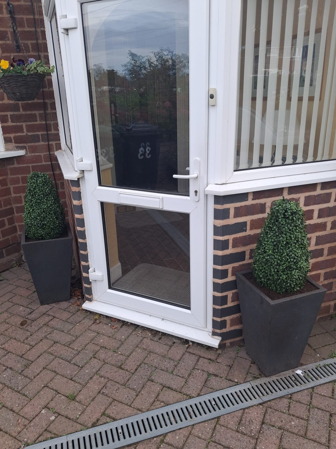 Customer photo review of Boxwood Topiary Cone Shaped Potted Plant 70cm/28in (Set of 2) - A1300