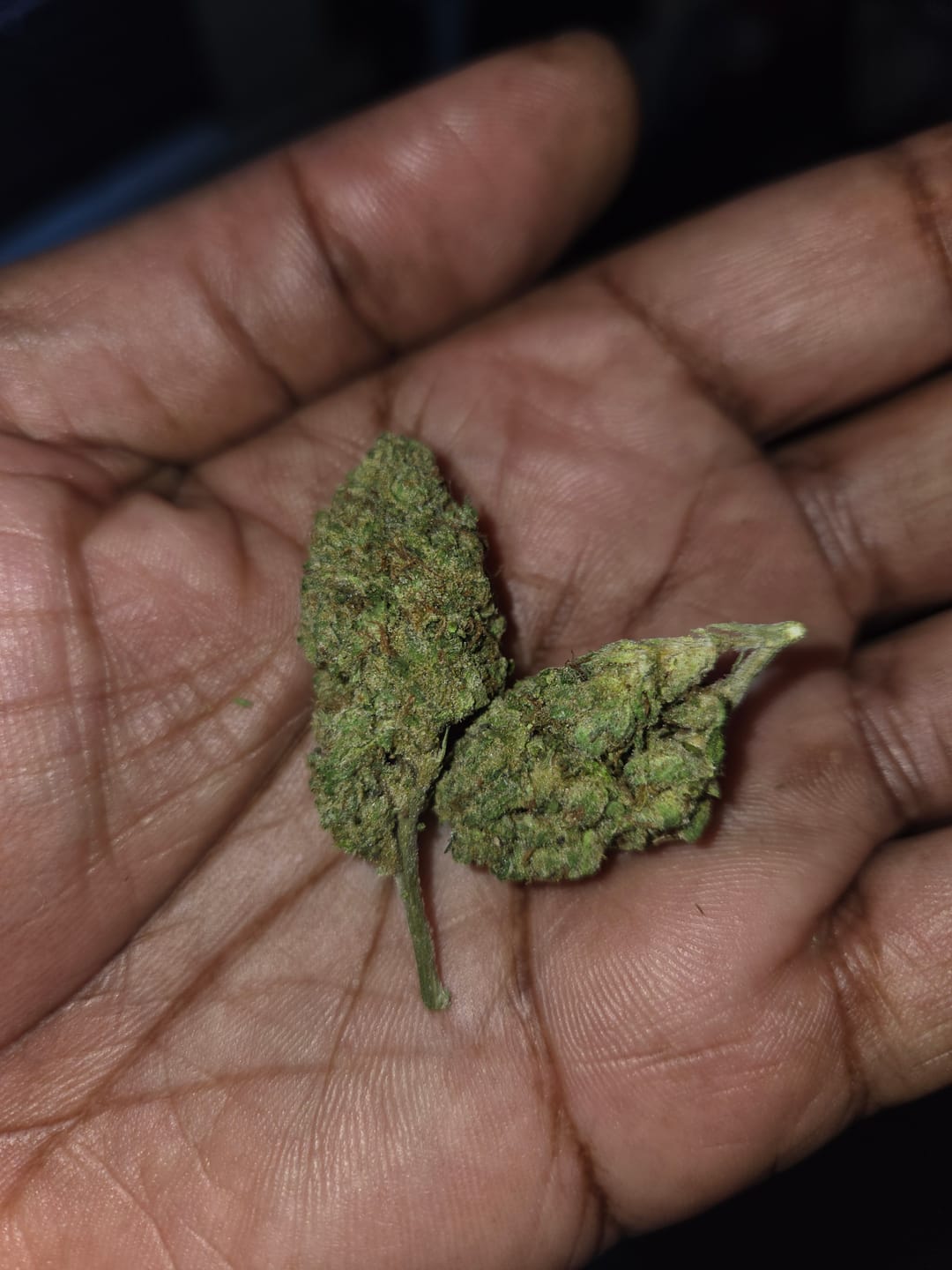 Customer photo review of KIND - Toad Venom - 14 Grams - Indica