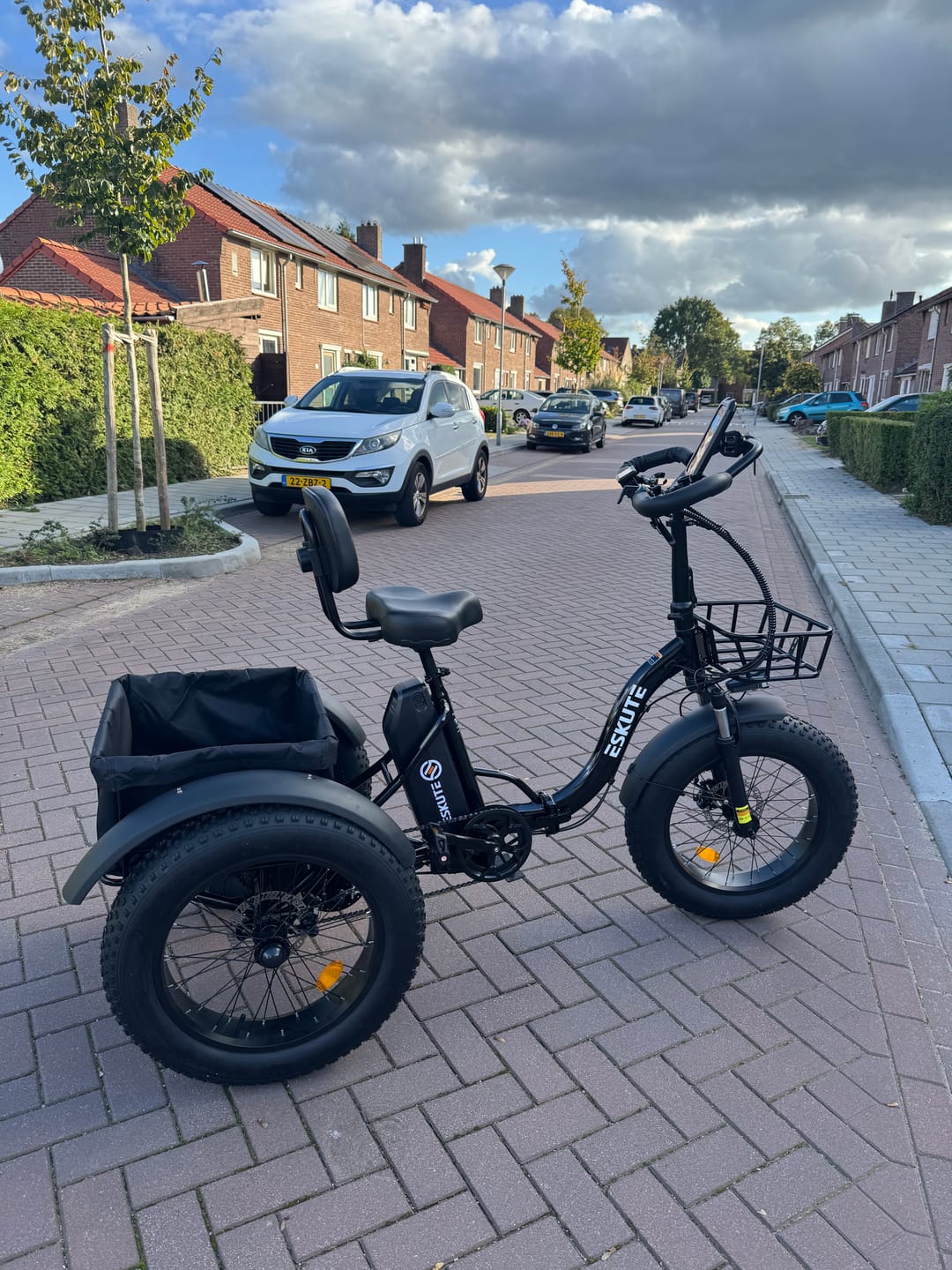 Customer photo review of Eskute T302 Pro Cargo E-Trike