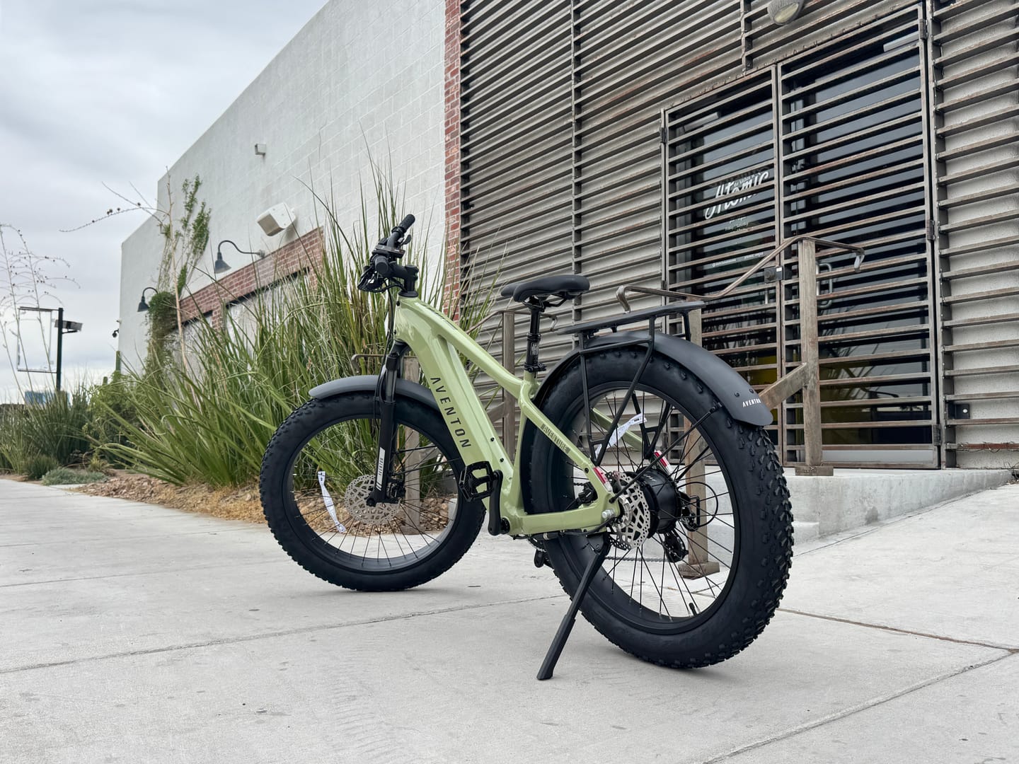 Customer photo review of Aventon Aventure 3 Step Over