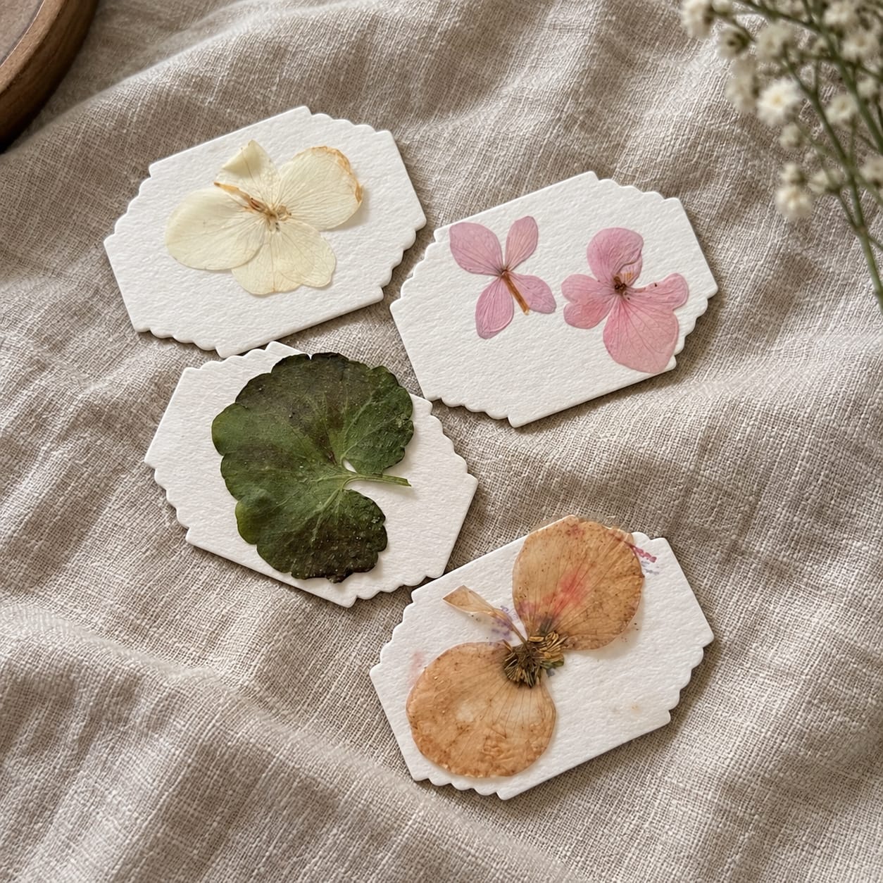 Customer photo review of BLÜTENPRESS Mini-Blumenpresse
