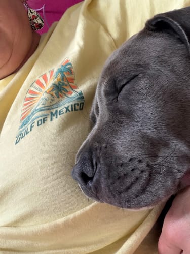 Customer's yellow Gulf of Mexico Sunny Vibes T-shirt with a retro graphic, worn while cuddling a sleeping dog.