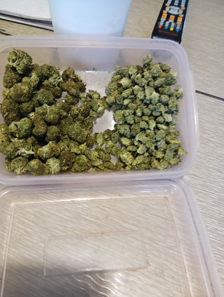 Customer photo review of KIND - Heavy OG - 28 Grams - Indica