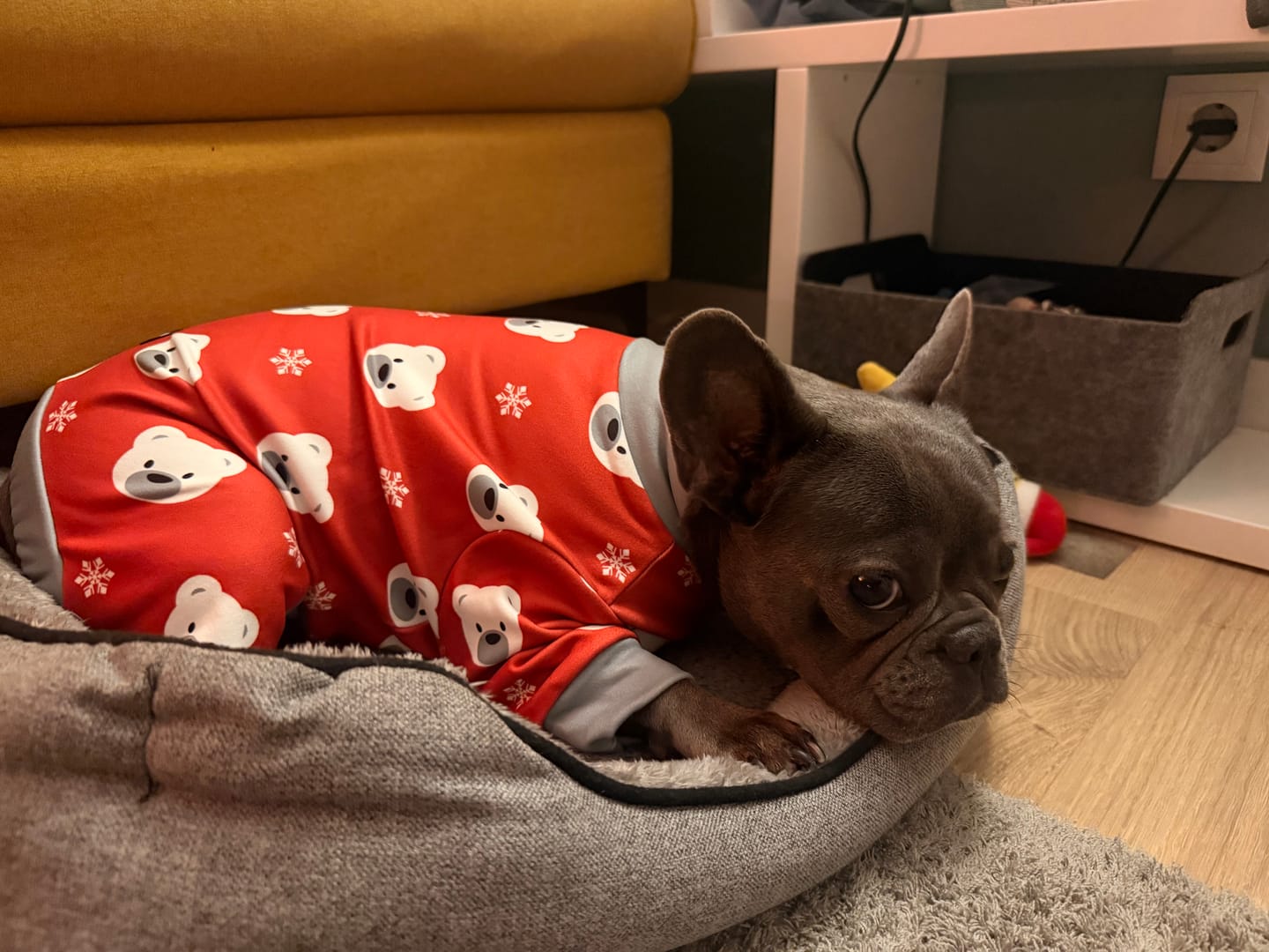 Customer photo review of Dog Pajama - Polar Bear