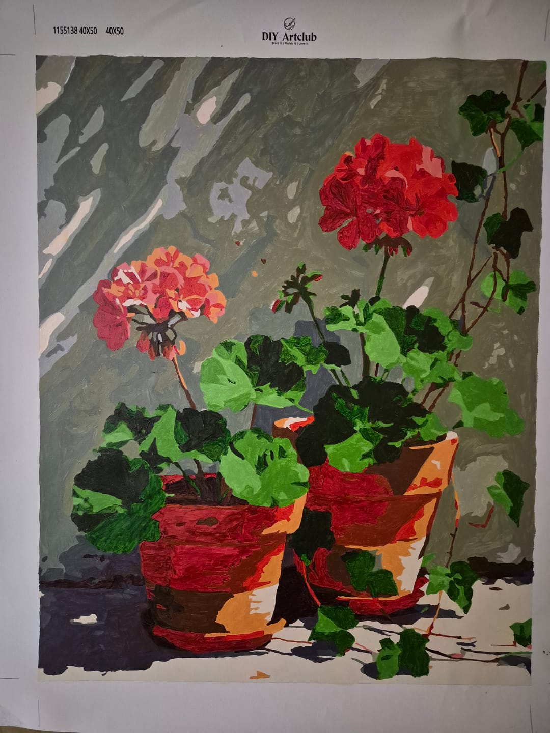 Customer photo review of Geranium Corner | Paint by Number
