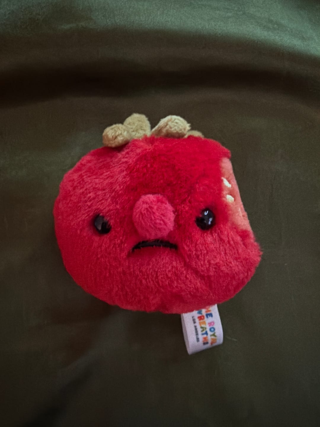 Customer photo review of Forgotten Bitten Tomato