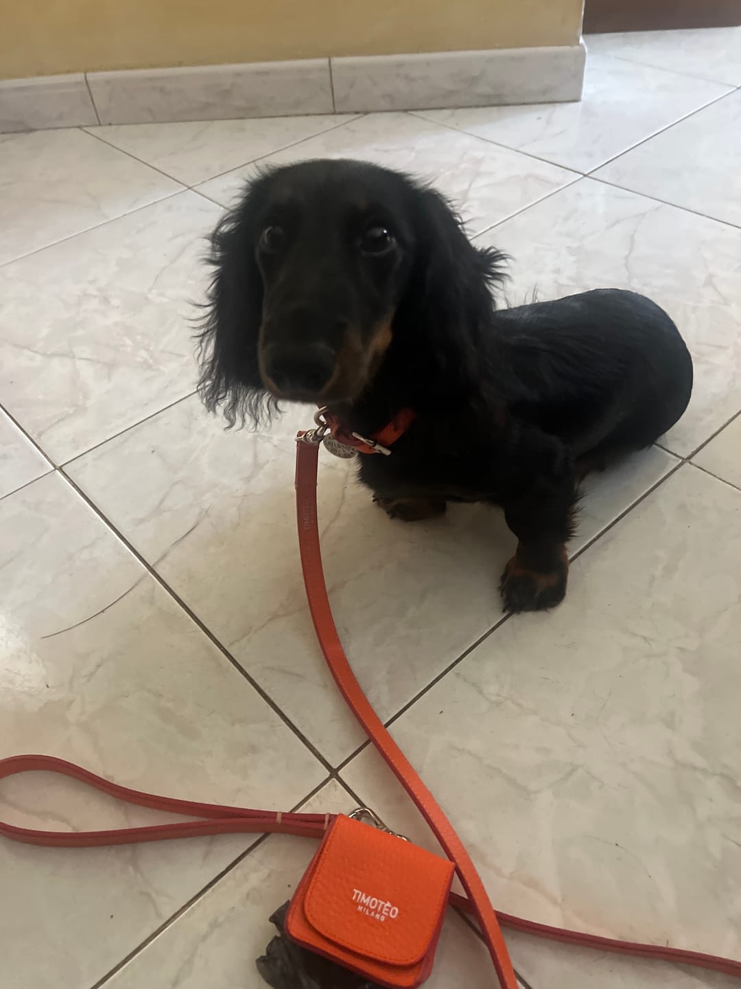 Customer photo review of TT Bag Iconic orange - Porta sacchetti in pelle arancione