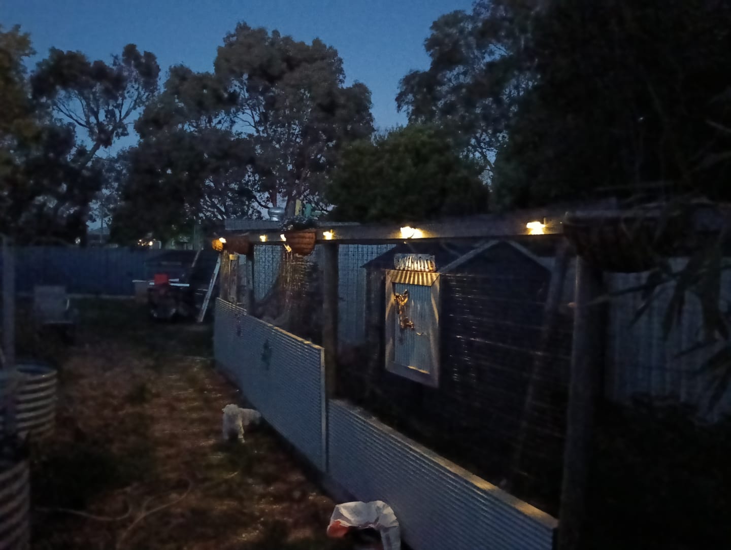 Customer photo review of SolaGarden™ Deck Lights