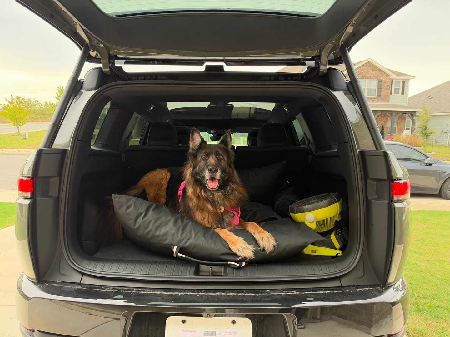 Customer photo review of Dog Dock V2 New & Improved LATCH / ISO FIX