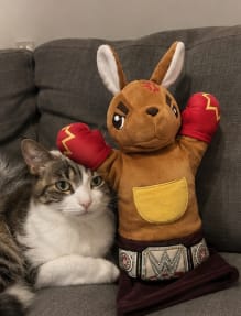 Customer photo review of Juguete Interactivo para Gatos con Cascabeles y Cuerdas
