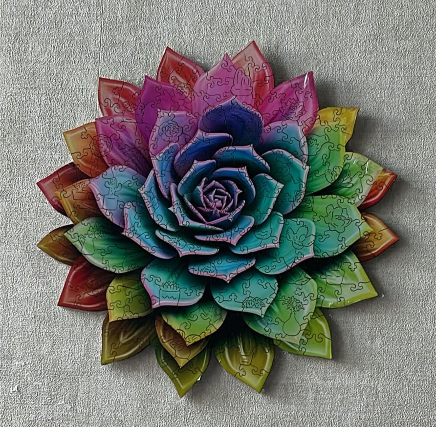Customer photo review of Wooden Puzzle - Rainbow Succulent