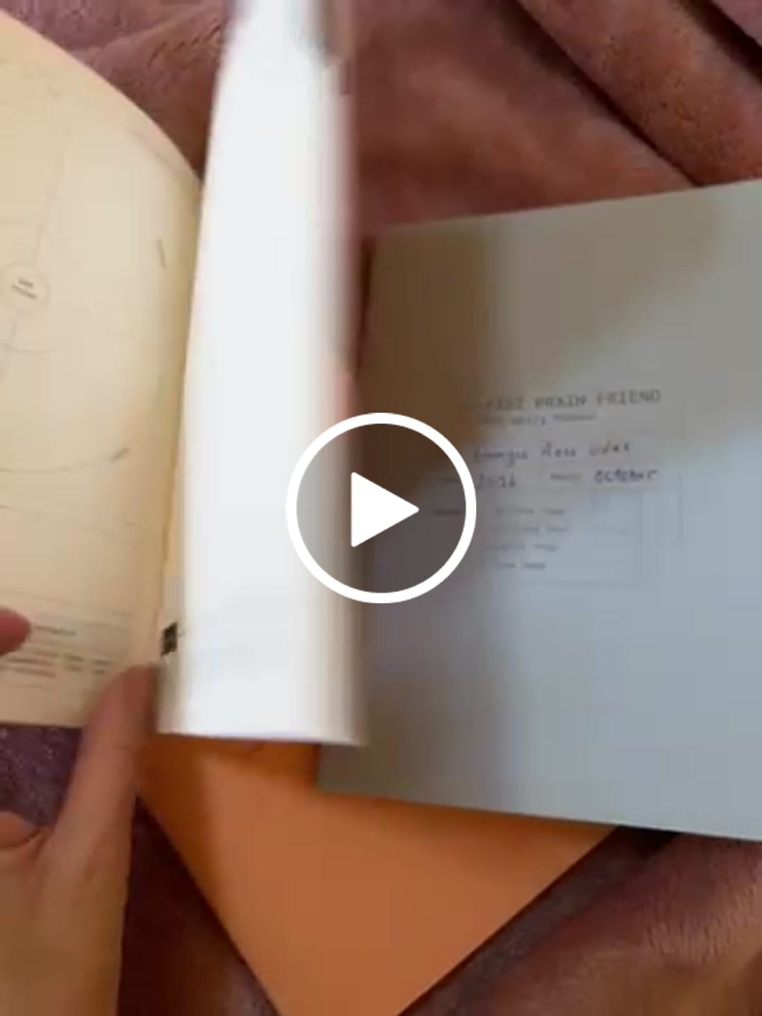 Customer video review of Fast Brain Friend - Pastels Gift Set