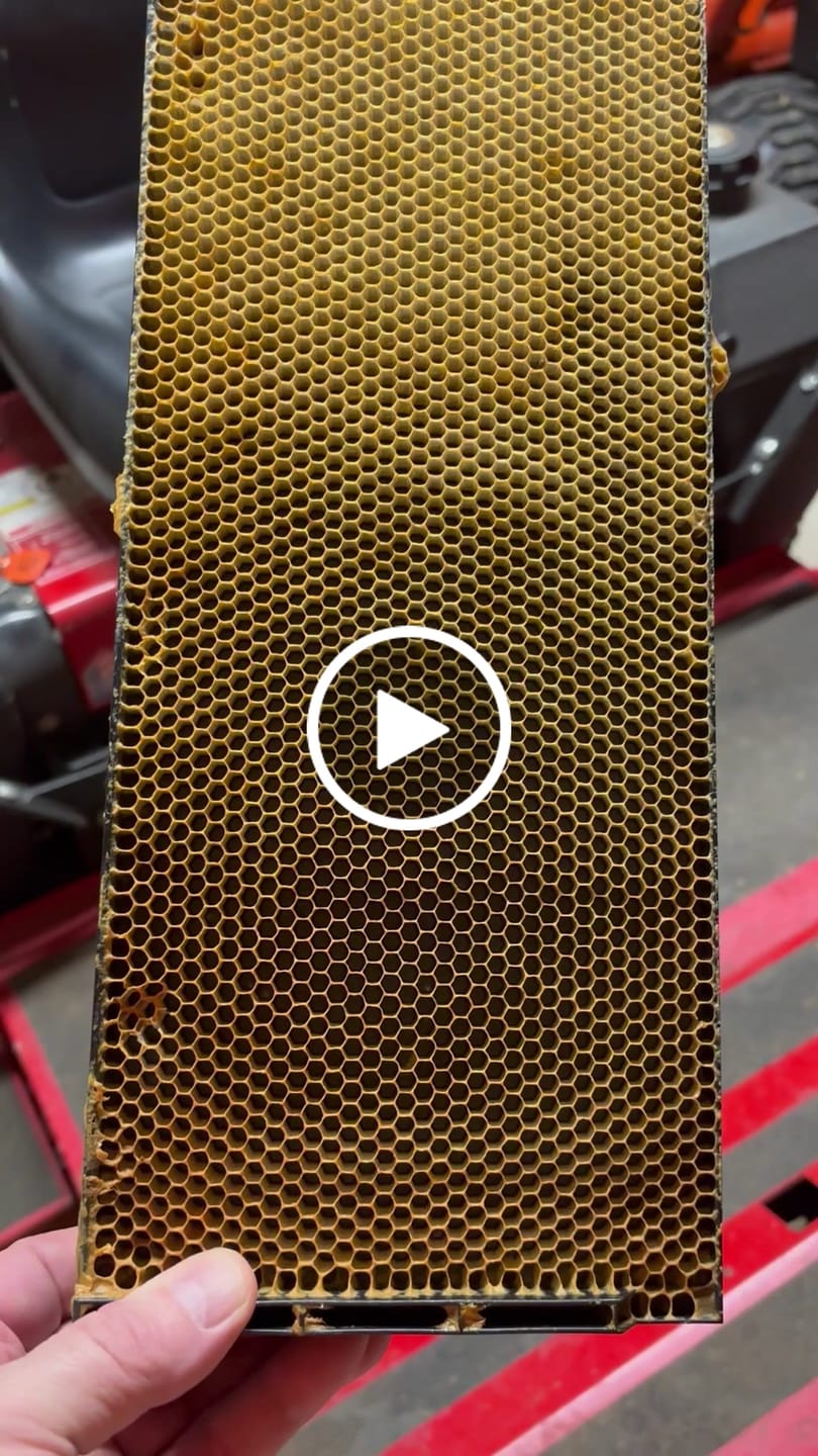 Customer video review of One-Piece Plastic Bee Frames