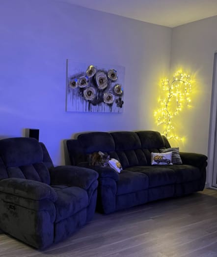 Customer photo review of MerryTwig Christmas Branch Lights