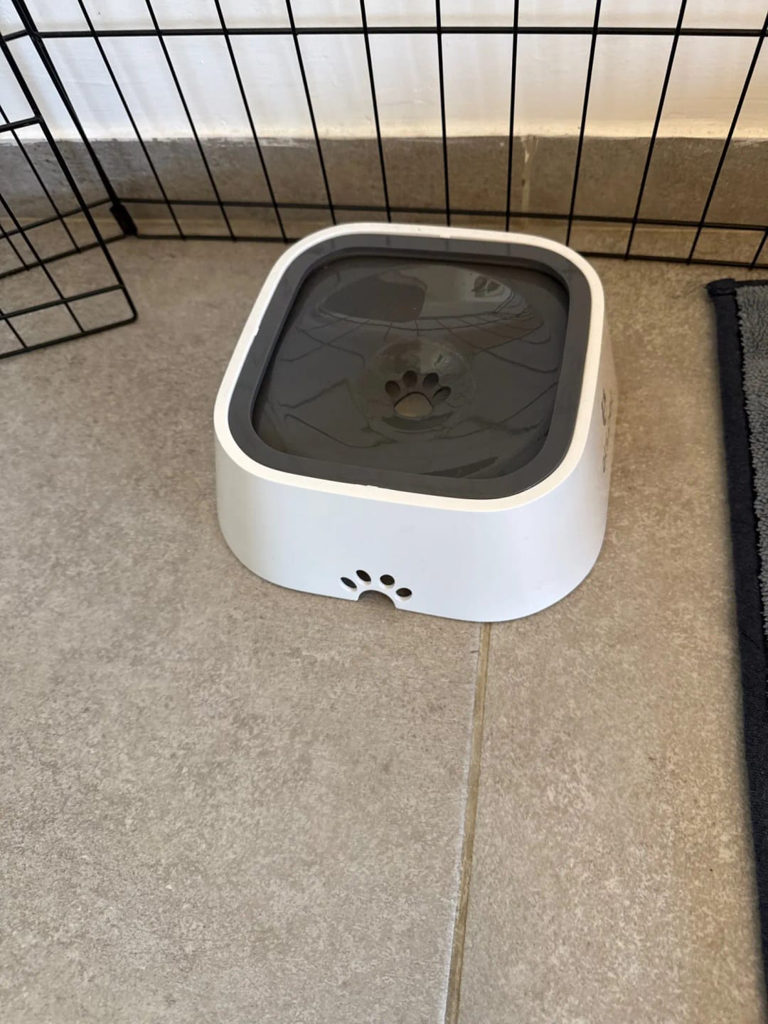 Customer photo review of Portable Dog Bowl Pet Floating Bowl Splash-proof