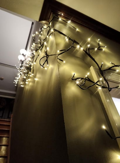 Customer photo review of MerryTwig Christmas Branch Lights