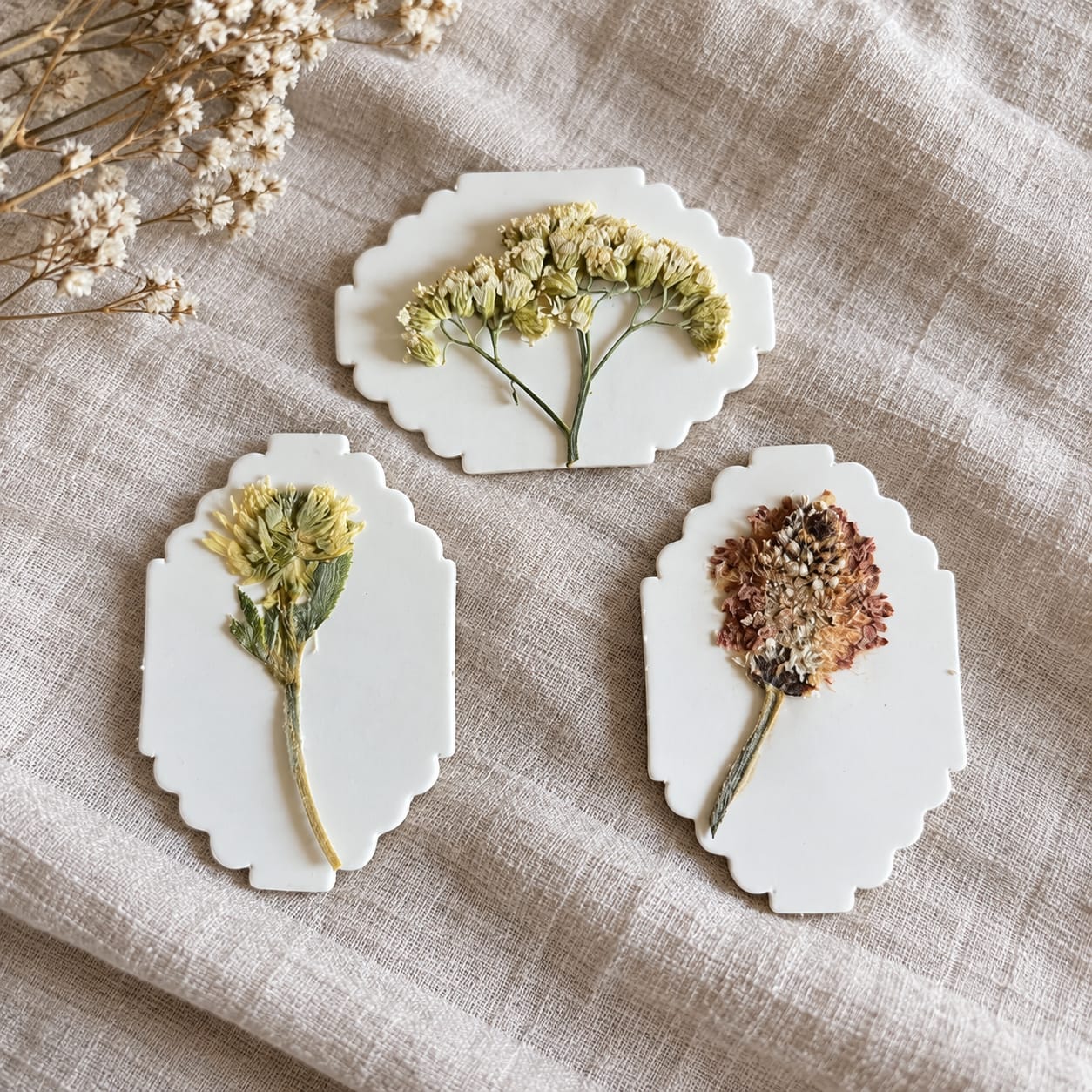 Customer photo review of BLÜTENPRESS Mini-Blumenpresse