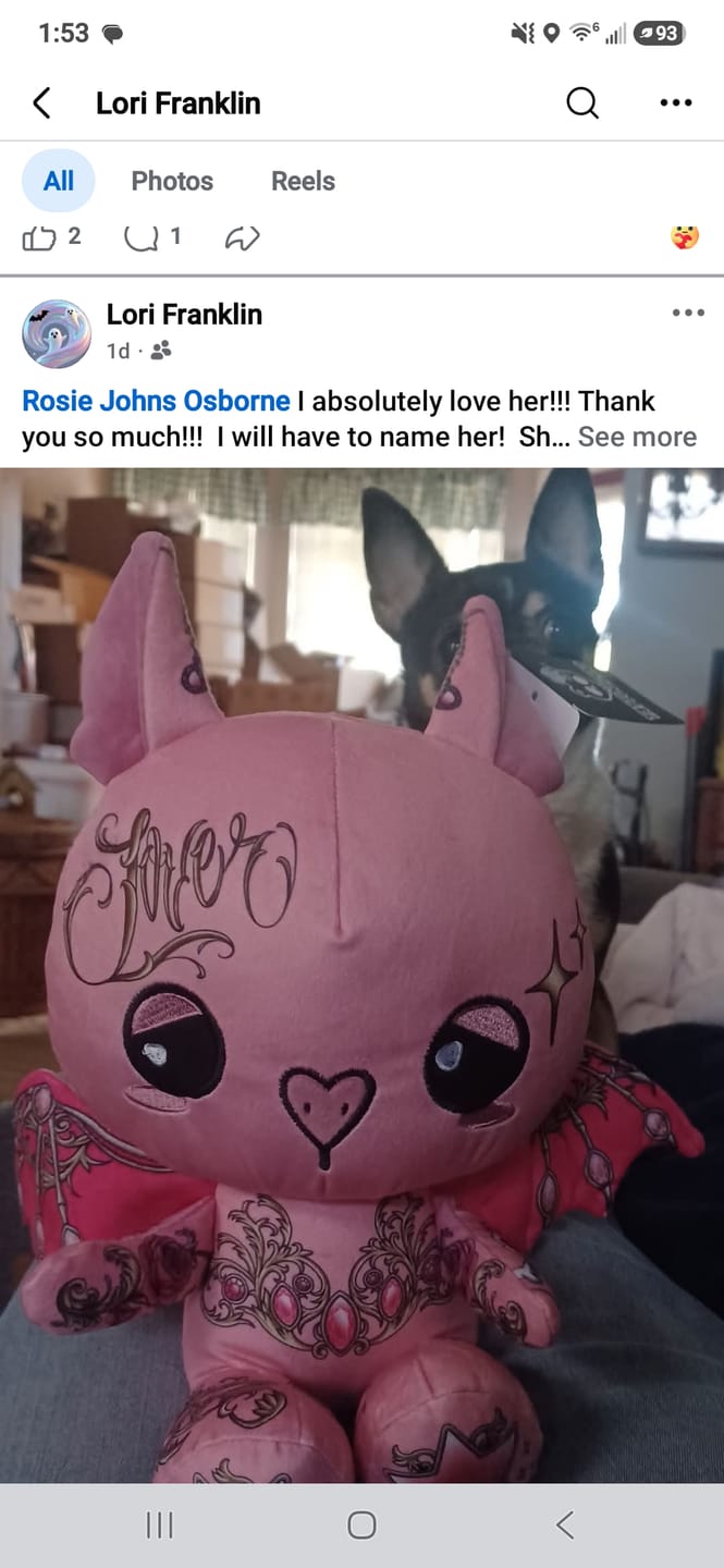 Customer photo review of Rosie the Bat Plushie