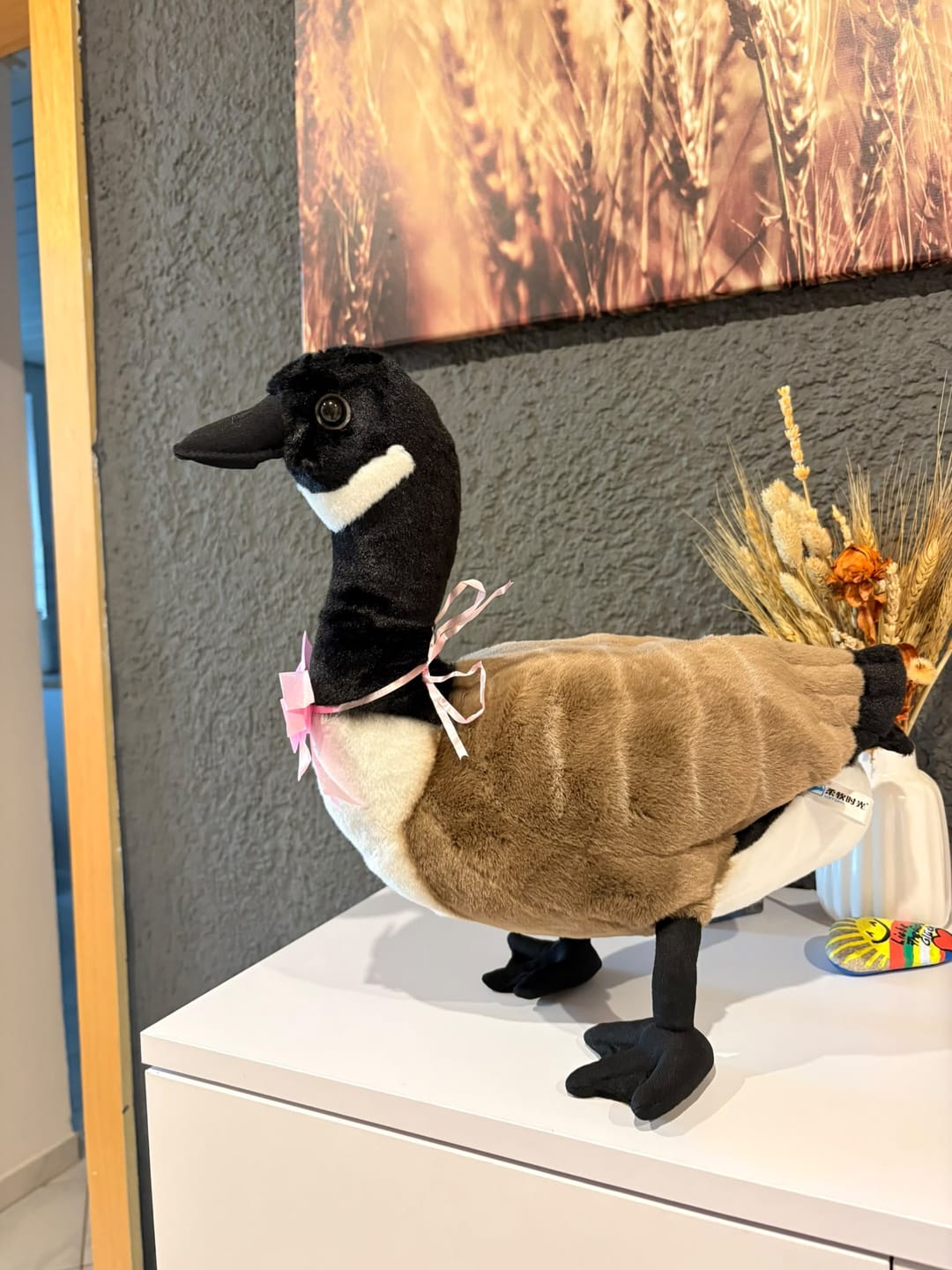 Customer photo review of Canada Goose Plush – Realistic and Soft Stuffed Toy for Bird Lovers