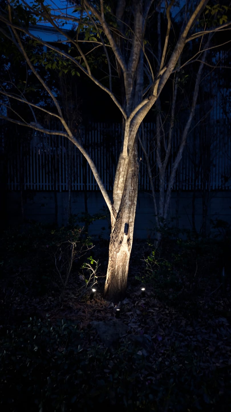 Customer photo review of [4 Pack PRESALE] GardenBrite™ Solar Spotlight Pack