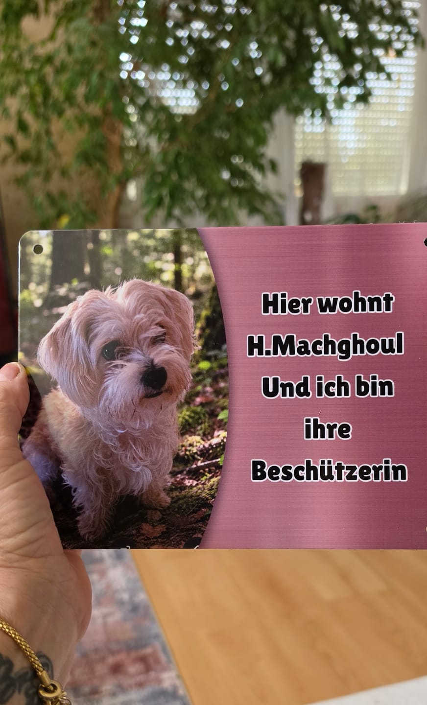 Customer photo review of Hunde-Türschild personalisiert mit Foto & Text (UV- und wetterfest)