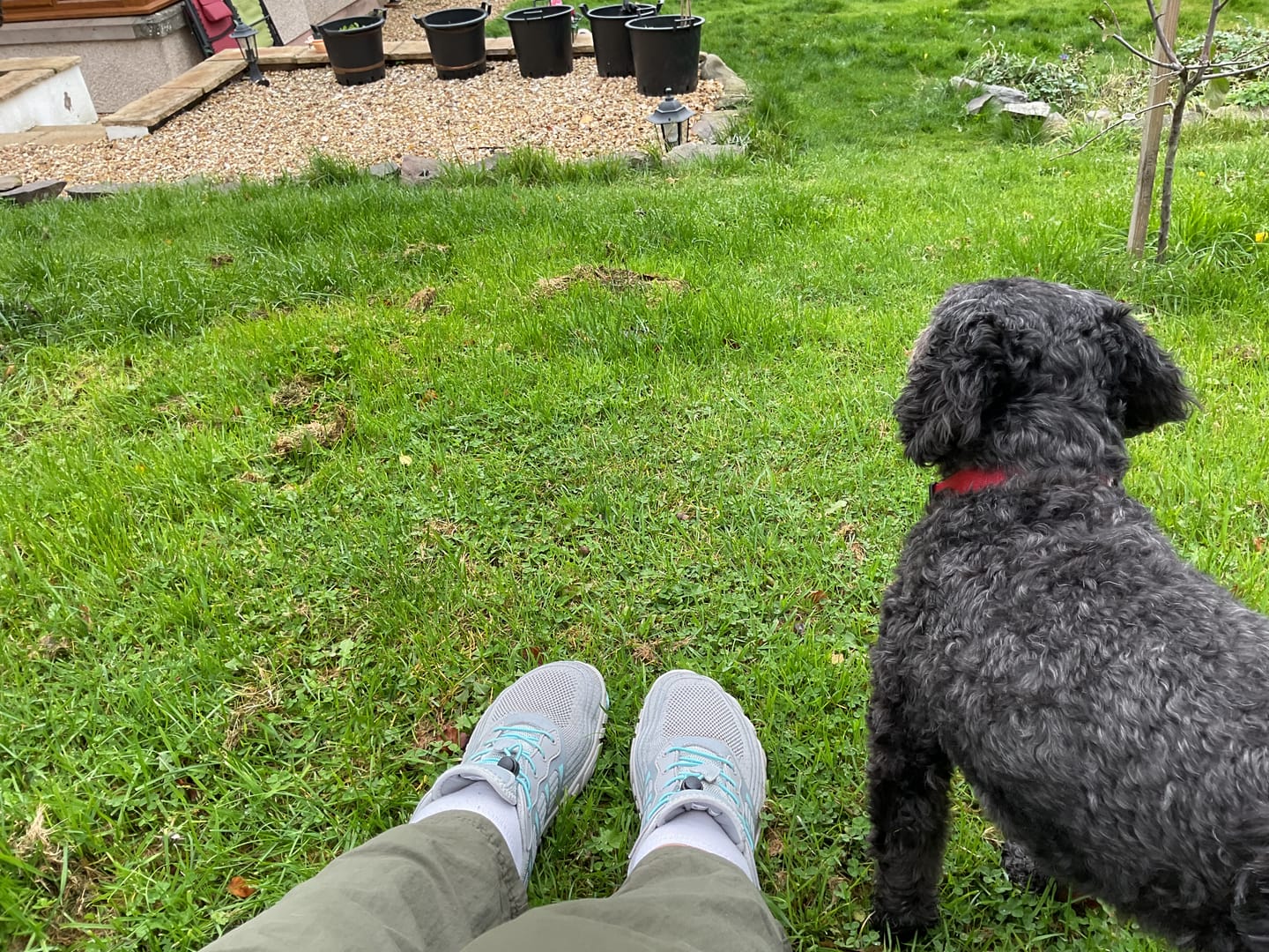 Customer photo review of WolfPaw - Barefoot Shoes