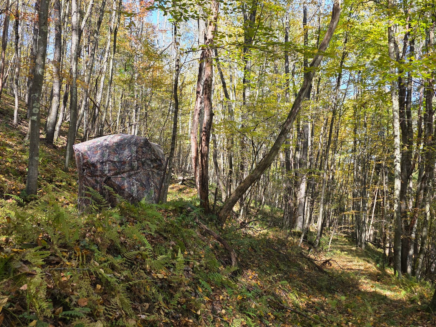 Customer photo review of VisX/VisMax 270 Degree See Through Pop Up Hunting Blind