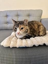 Customer photo review of Tapis chauffant auto-chauffant pour animaux de compagnie
