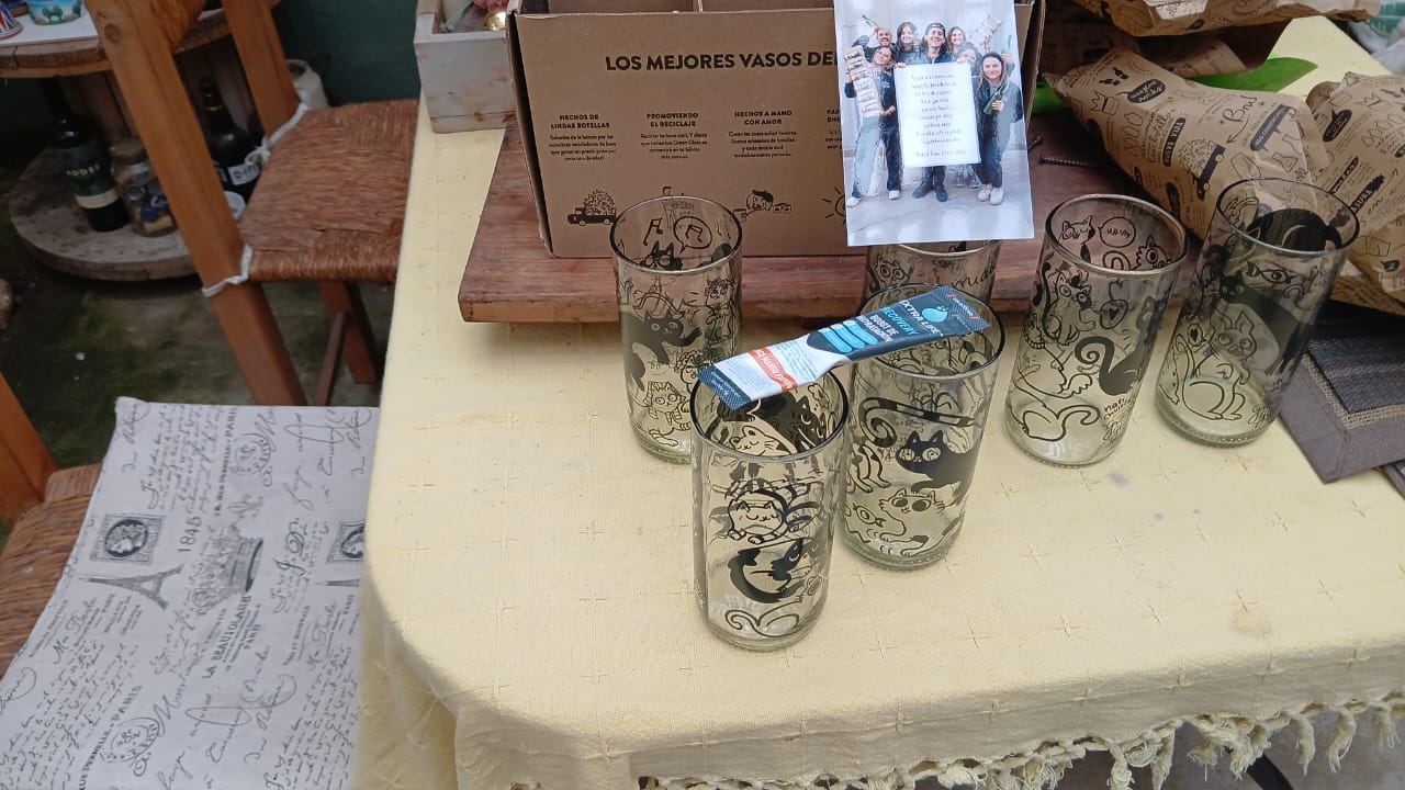 Customer photo review of Miau Glass - Juego de 6 Vasos - 500 ml