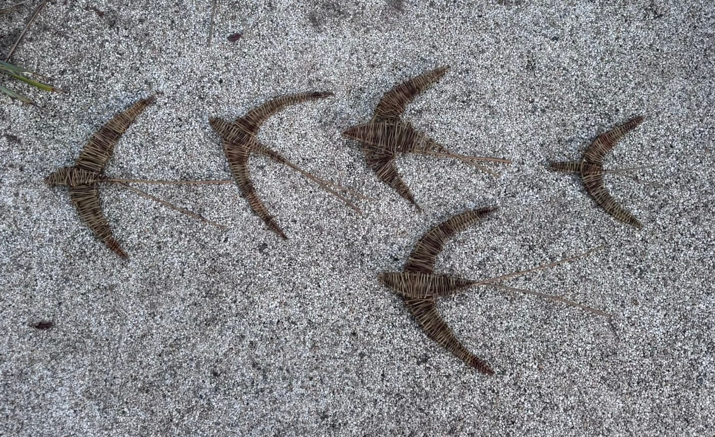 Customer photo review of Three Willow Swallows Kit