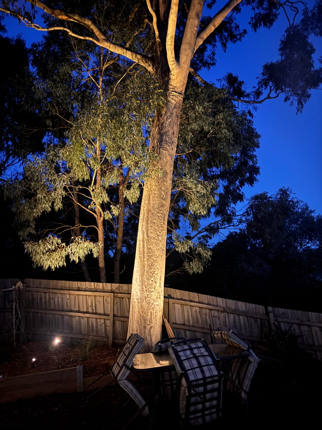 Customer photo review of GardenBrite™ Solar Spotlight Pack