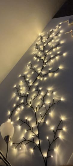 Customer photo review of MerryTwig Christmas Branch Lights
