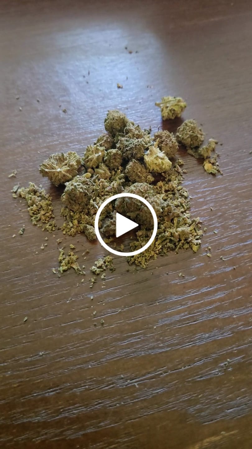 Customer video review of 1 Oz Cheap CBD Small Buds