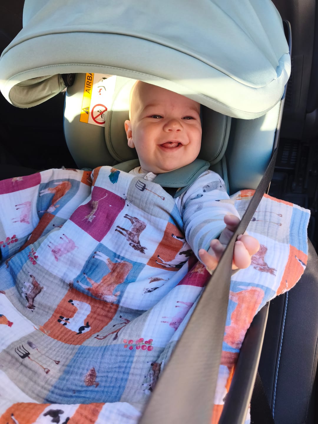 Customer photo review of Átmeneti kétrétegű takaró - Tanya kollekció - előrendelés