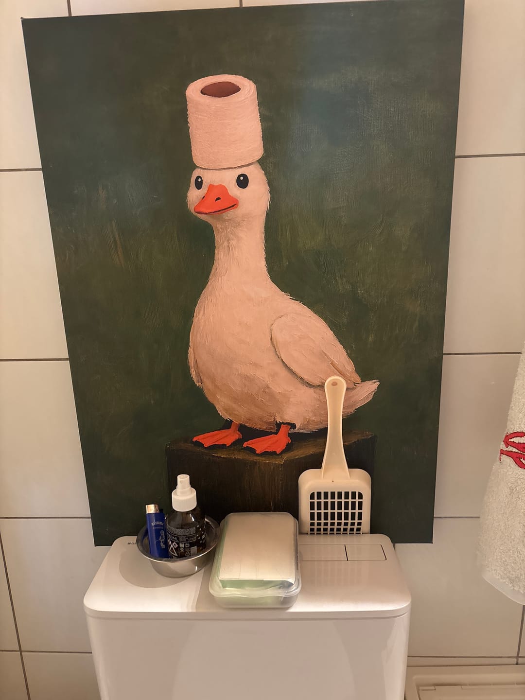 Customer photo review of Duck WC