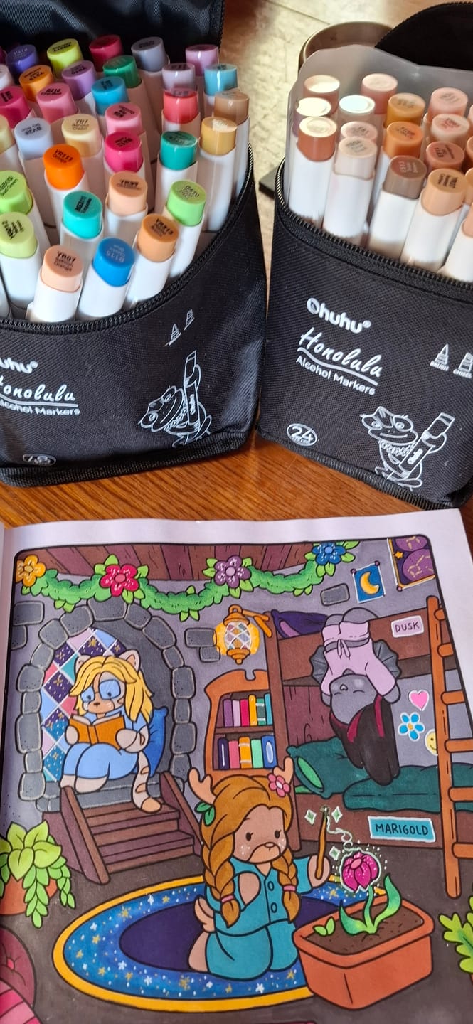 Customer photo review of Ohuhu Honolulu 24 Skin Tone Colors Dual Tips Portrait Alcohol Art Markers (New Color Codes)