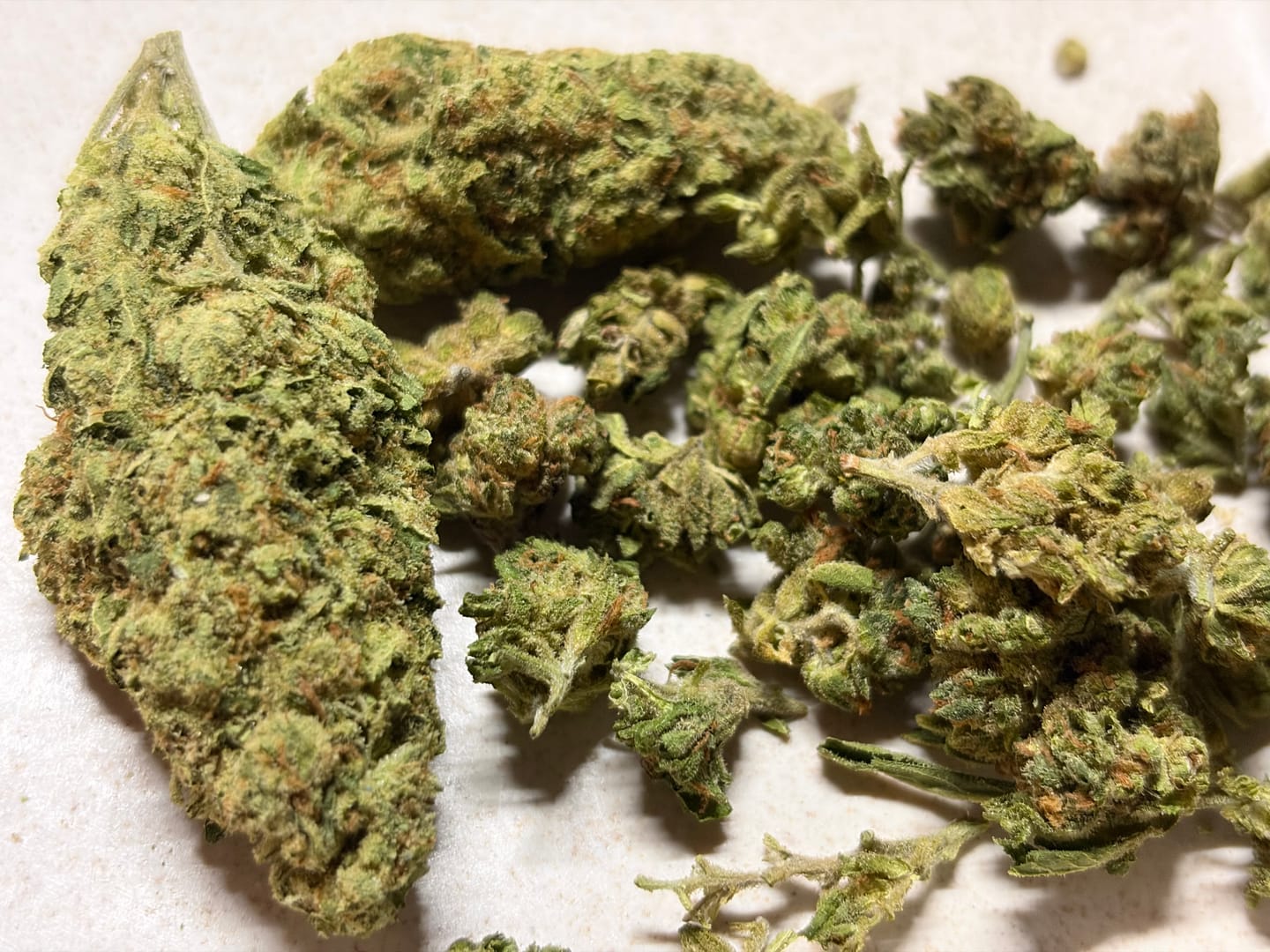 Customer photo review of Guava Cheese | THCA Flower