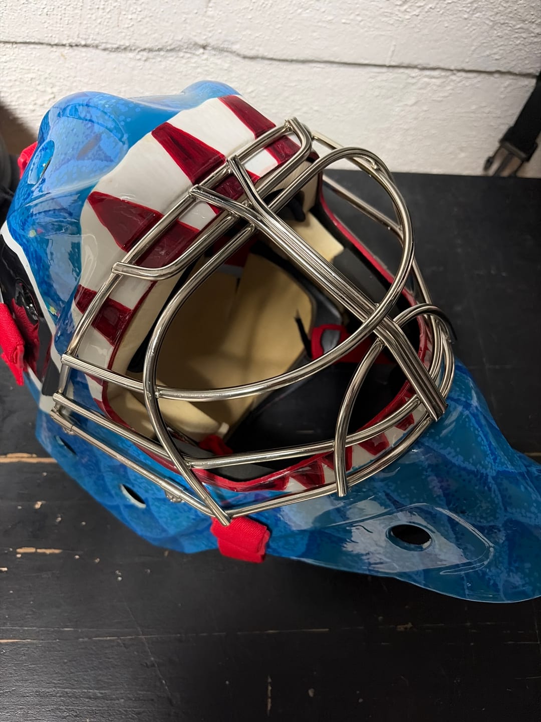 Customer photo review of Grille Cat-Eye Pro Cage