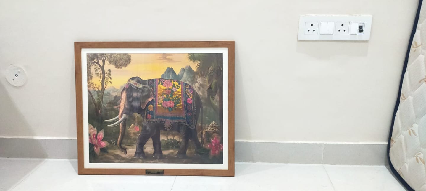 Customer photo review of Elephant Elegance
