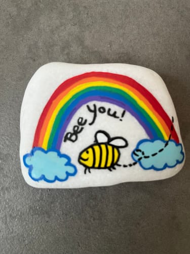Customer photo review of Starterspakket Happy Stones + App om ze te volgen + Paint-me Startersset