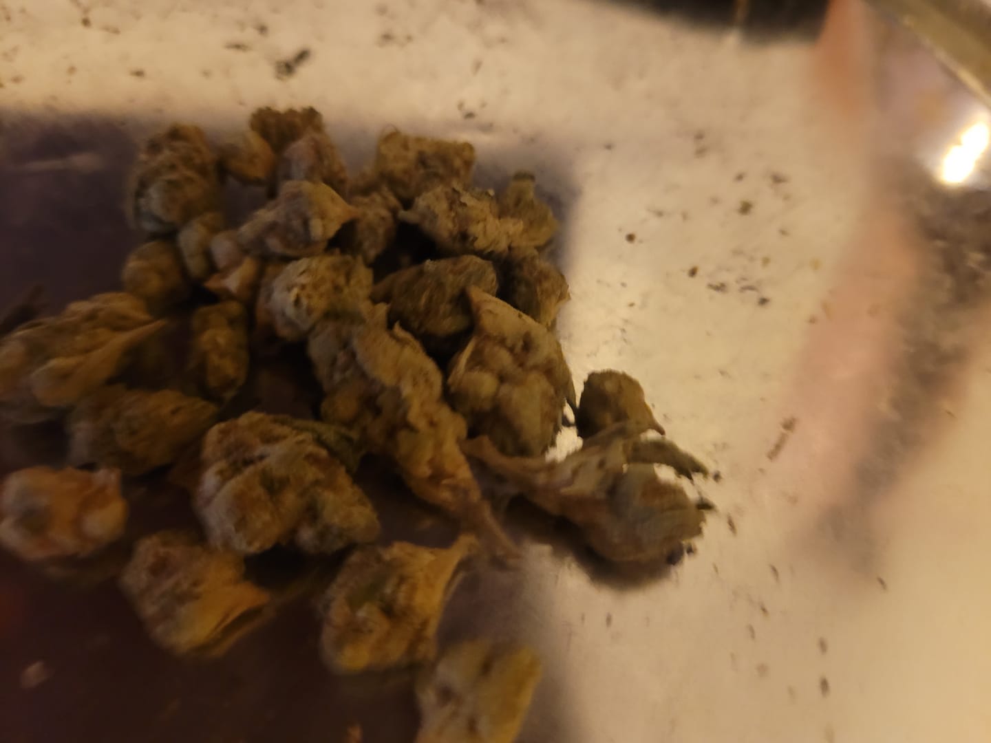 Customer photo review of KIND - Godfather OG - Minis - 28 Grams - Indica