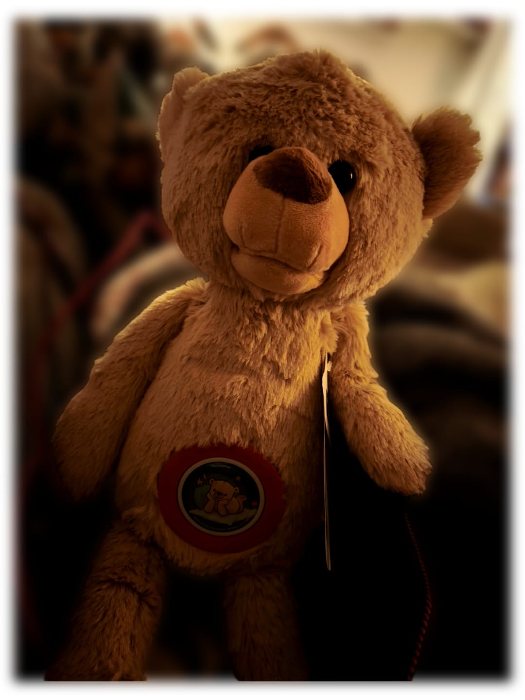 Customer photo review of Theodore KekzBär