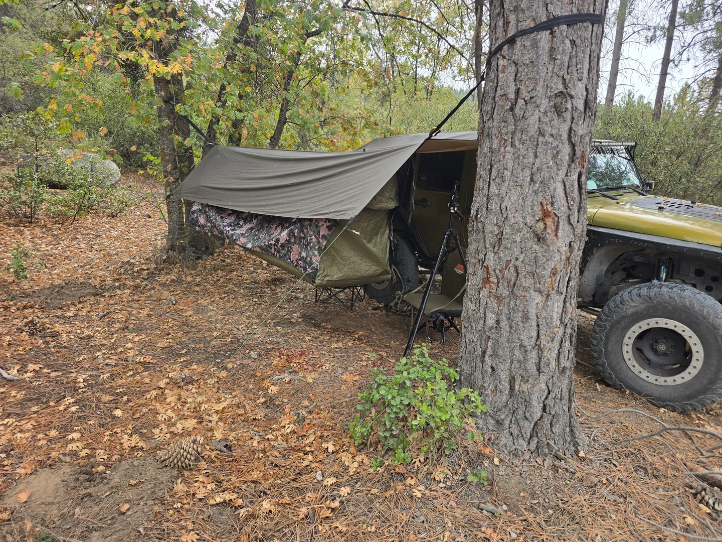 Customer photo review of Haven Camp Fly