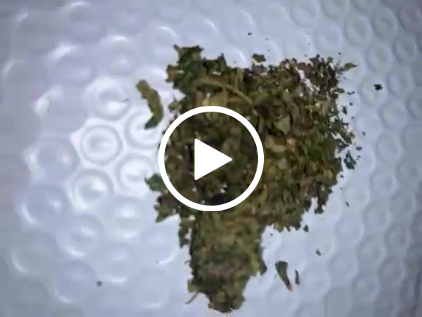 Customer video review of (Buy 1 Get 2) T01 La Pop Rock Shake
