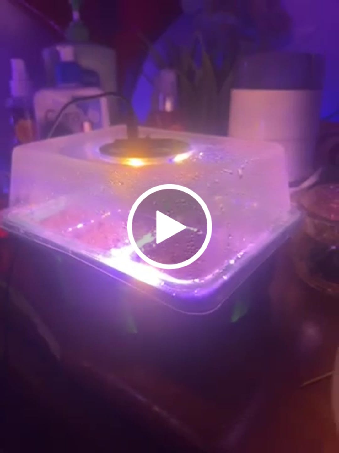 Customer video review of GardenMate™ - Seed Starter Kit