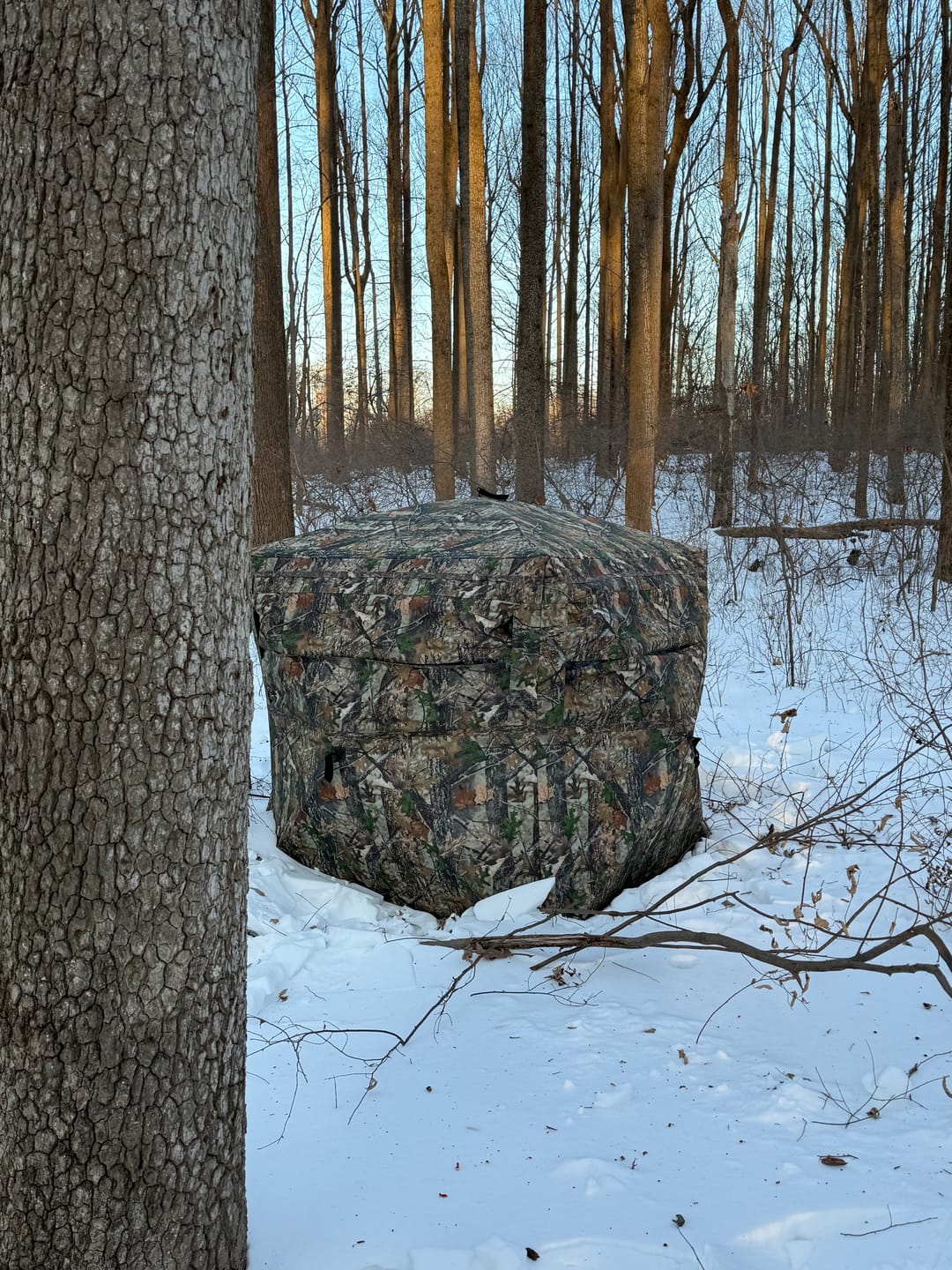 Customer photo review of 270° See Through 1-2 Person Hunting Blind, Pop Up Ground Deer Blind